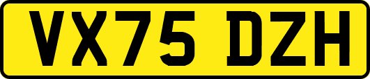 VX75DZH