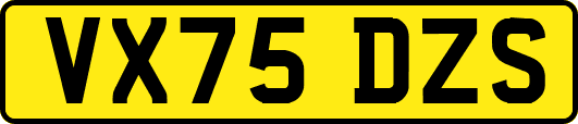VX75DZS