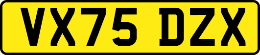 VX75DZX