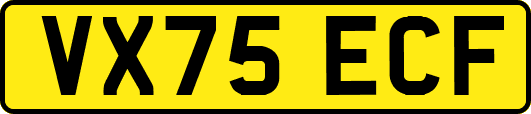 VX75ECF