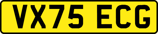 VX75ECG