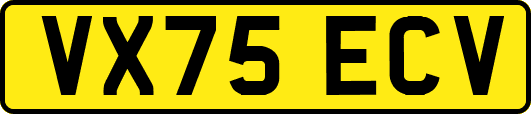 VX75ECV