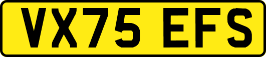 VX75EFS