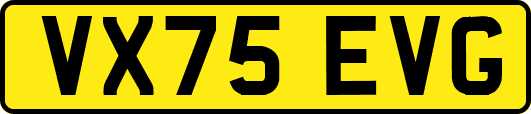 VX75EVG