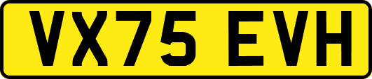 VX75EVH