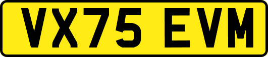 VX75EVM