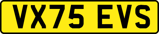VX75EVS