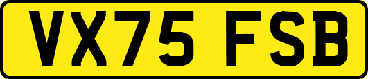 VX75FSB