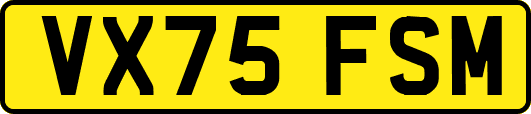 VX75FSM