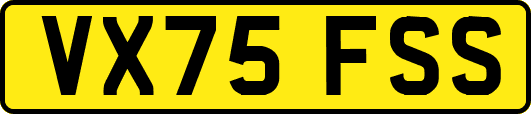 VX75FSS