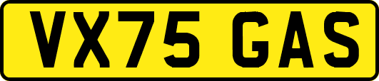 VX75GAS