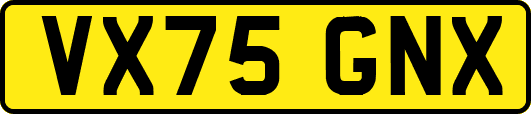 VX75GNX