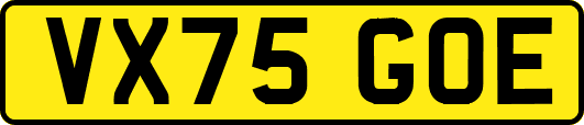 VX75GOE