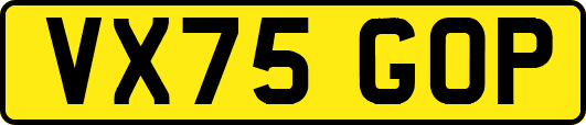 VX75GOP