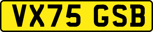 VX75GSB