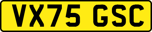VX75GSC