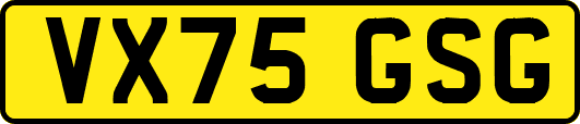 VX75GSG