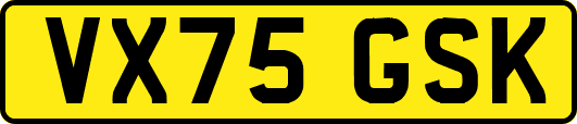 VX75GSK