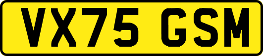 VX75GSM