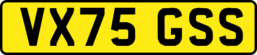 VX75GSS