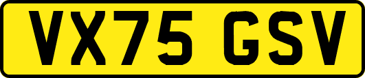 VX75GSV