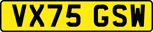 VX75GSW