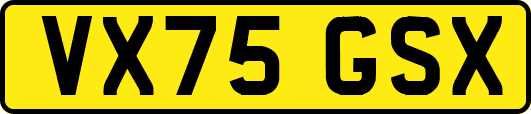 VX75GSX