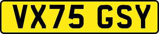 VX75GSY