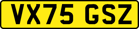 VX75GSZ