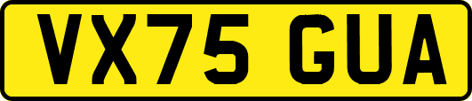 VX75GUA