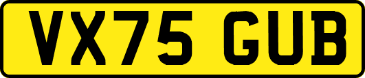 VX75GUB