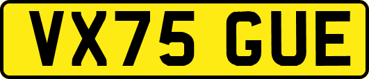 VX75GUE