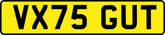 VX75GUT