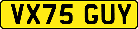 VX75GUY