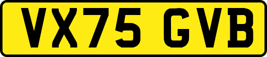 VX75GVB