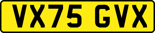 VX75GVX