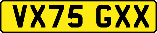 VX75GXX