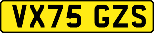 VX75GZS