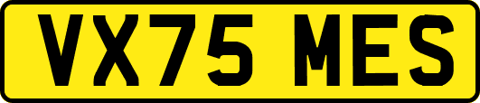 VX75MES