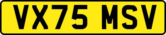 VX75MSV