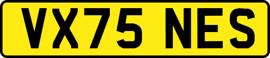 VX75NES