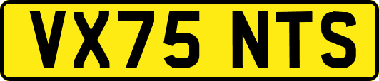 VX75NTS