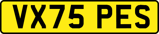 VX75PES