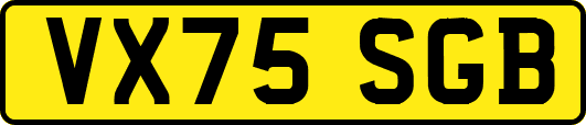 VX75SGB