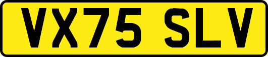VX75SLV
