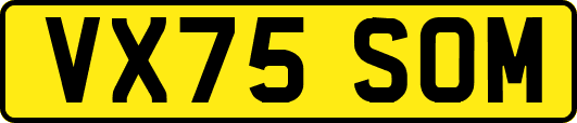 VX75SOM