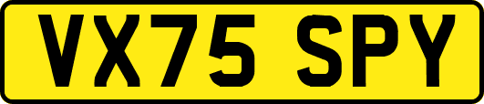 VX75SPY