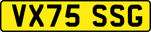 VX75SSG