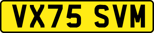 VX75SVM