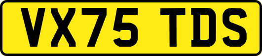 VX75TDS